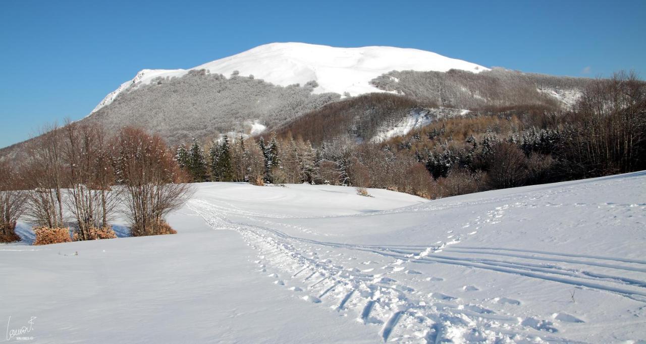 Antica Locanda Bonfiglio Busana Zewnętrze zdjęcie